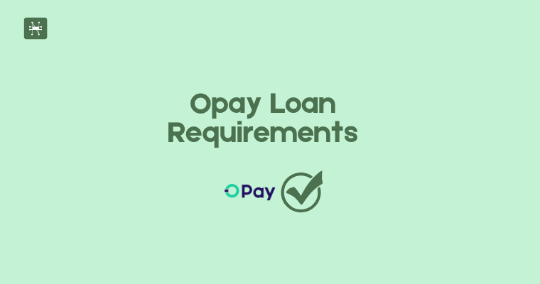 Opay Loan Requirements for Personal & Business Loans