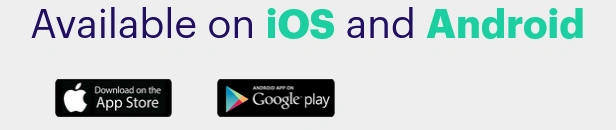 Download the Opay App